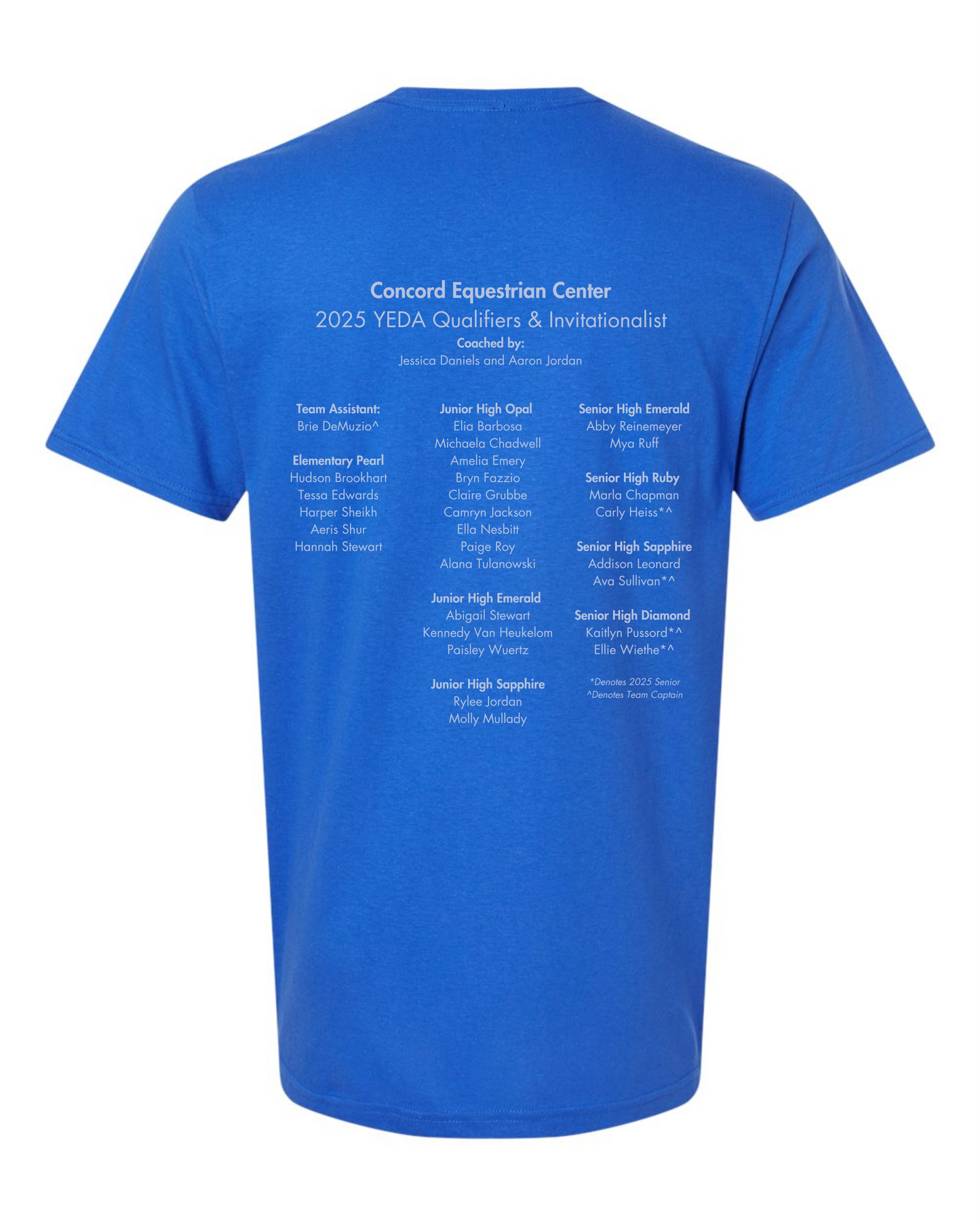 Concord Equestrian Blue T-Shirt PUFF