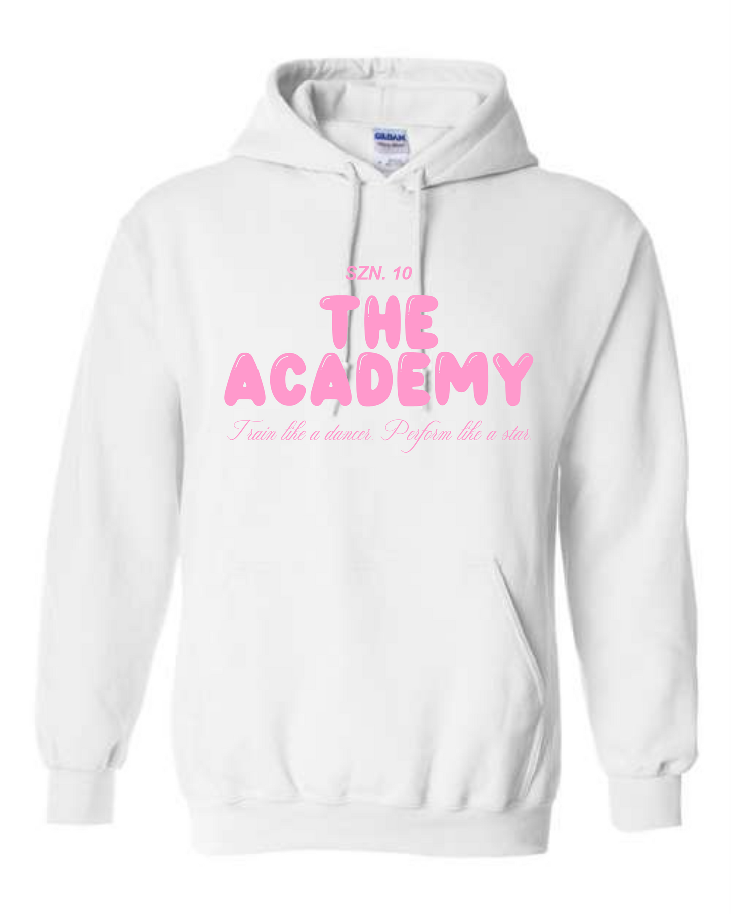 Adult Academy Hooded Sweatshirt (PUFF) Ash Gray